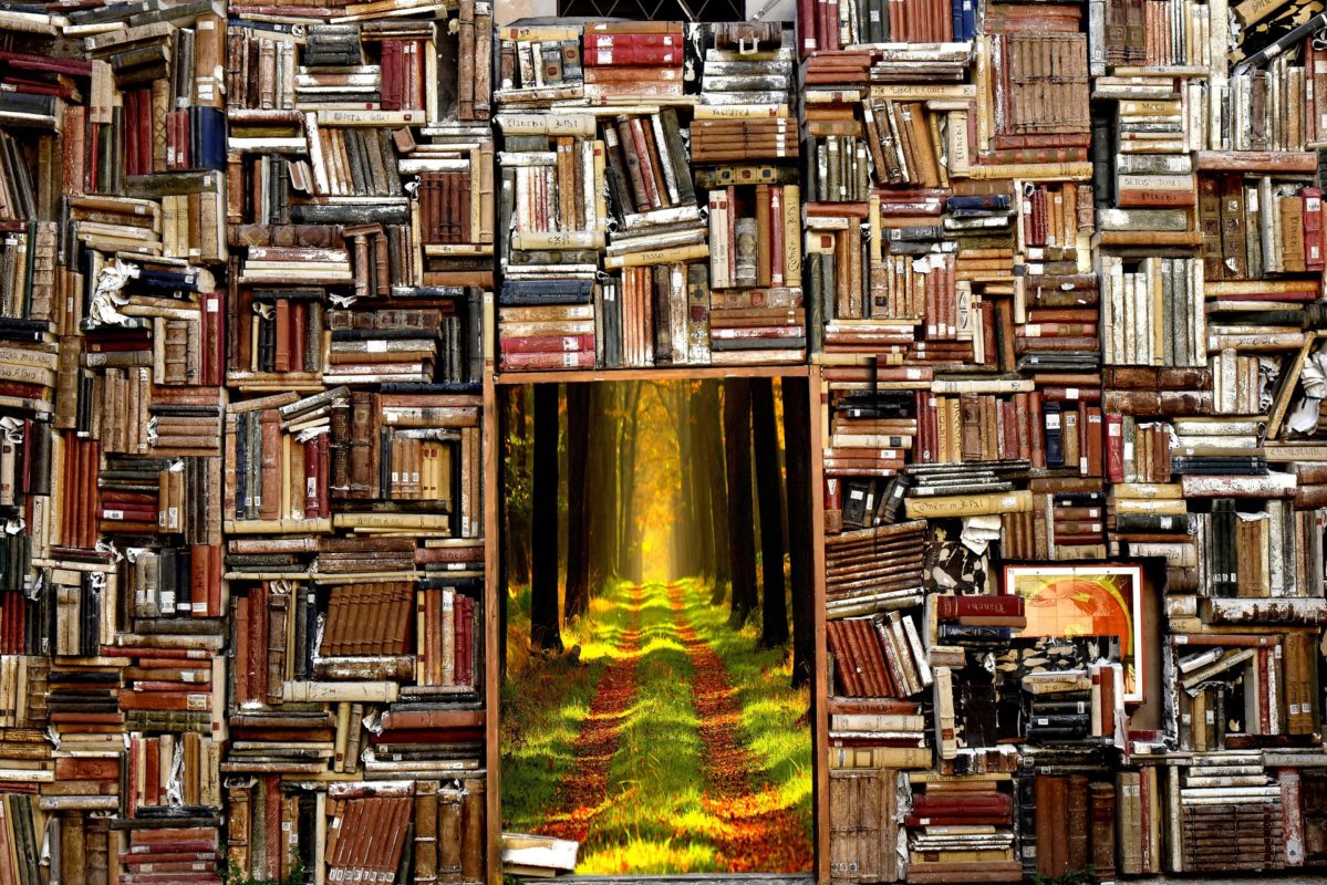 A wall of books leading to magic