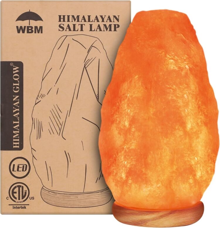 WBM Himalayan Salt Lamp